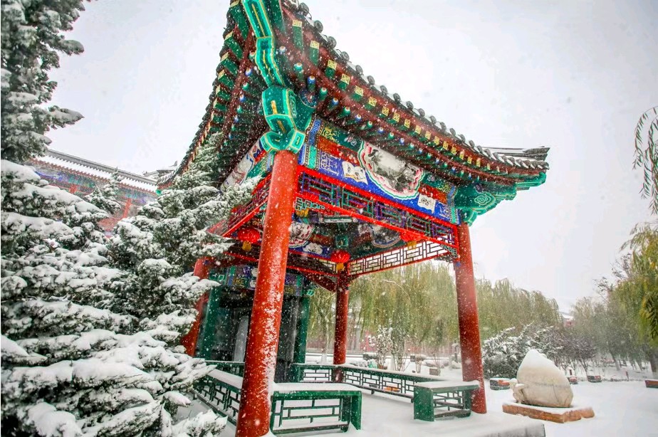 《阳春白雪，落地成诗》作者/张君 主编/胡琴