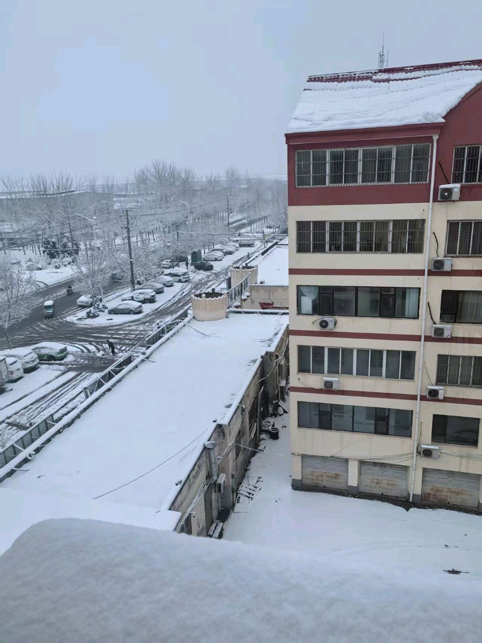 【故道文化·古诗·8261】赵奎军《春雪》（图3）
