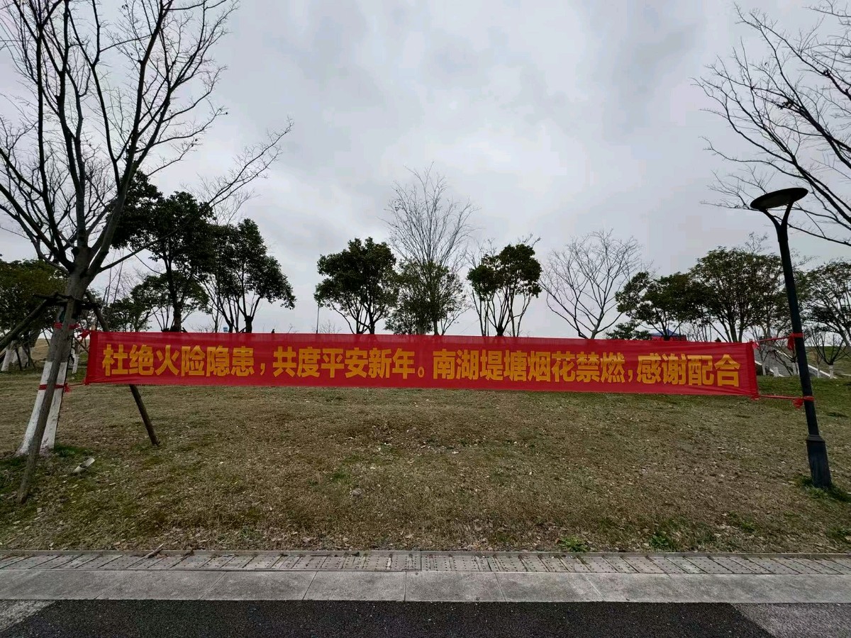 二月的南湖安静美好/董芸（图3）