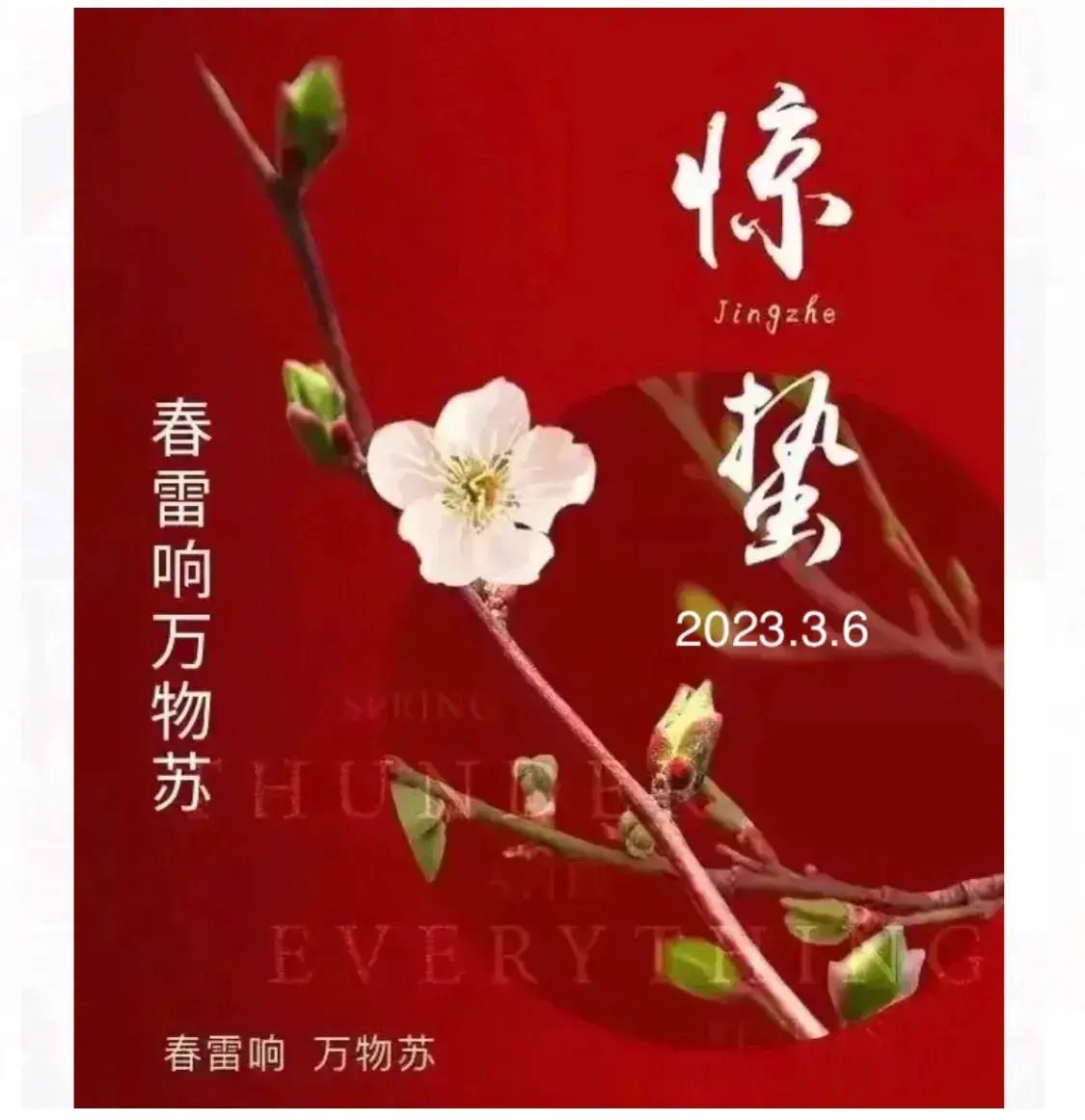 🇨🇳【中国诗人】第1225篇（名家风采）惊蛰//文:牧云（湖北）（图3）