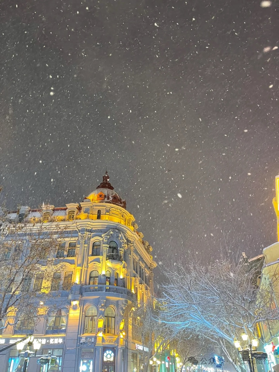 张庆业《元夕瑞雪，一场时光的温柔邂逅》诵读：语棠（图3）