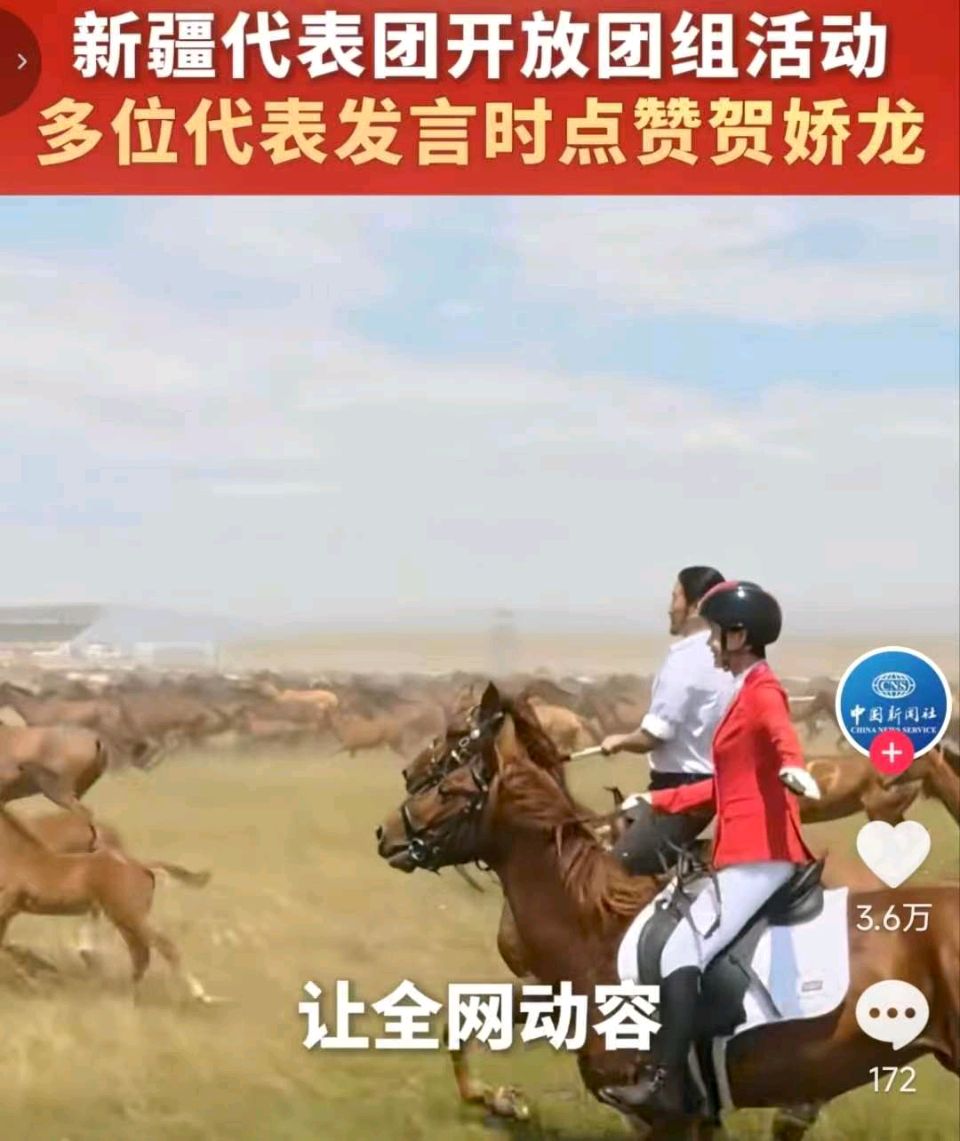 【散文】《难忘贺娇龙》作者: 强军/陕西宝鸡(图5)