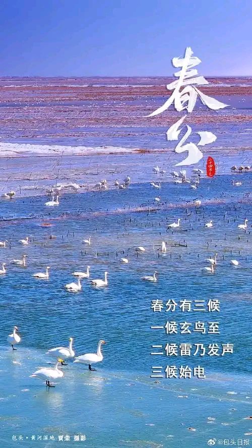 【神都诗社】第150期《春分》（图17）