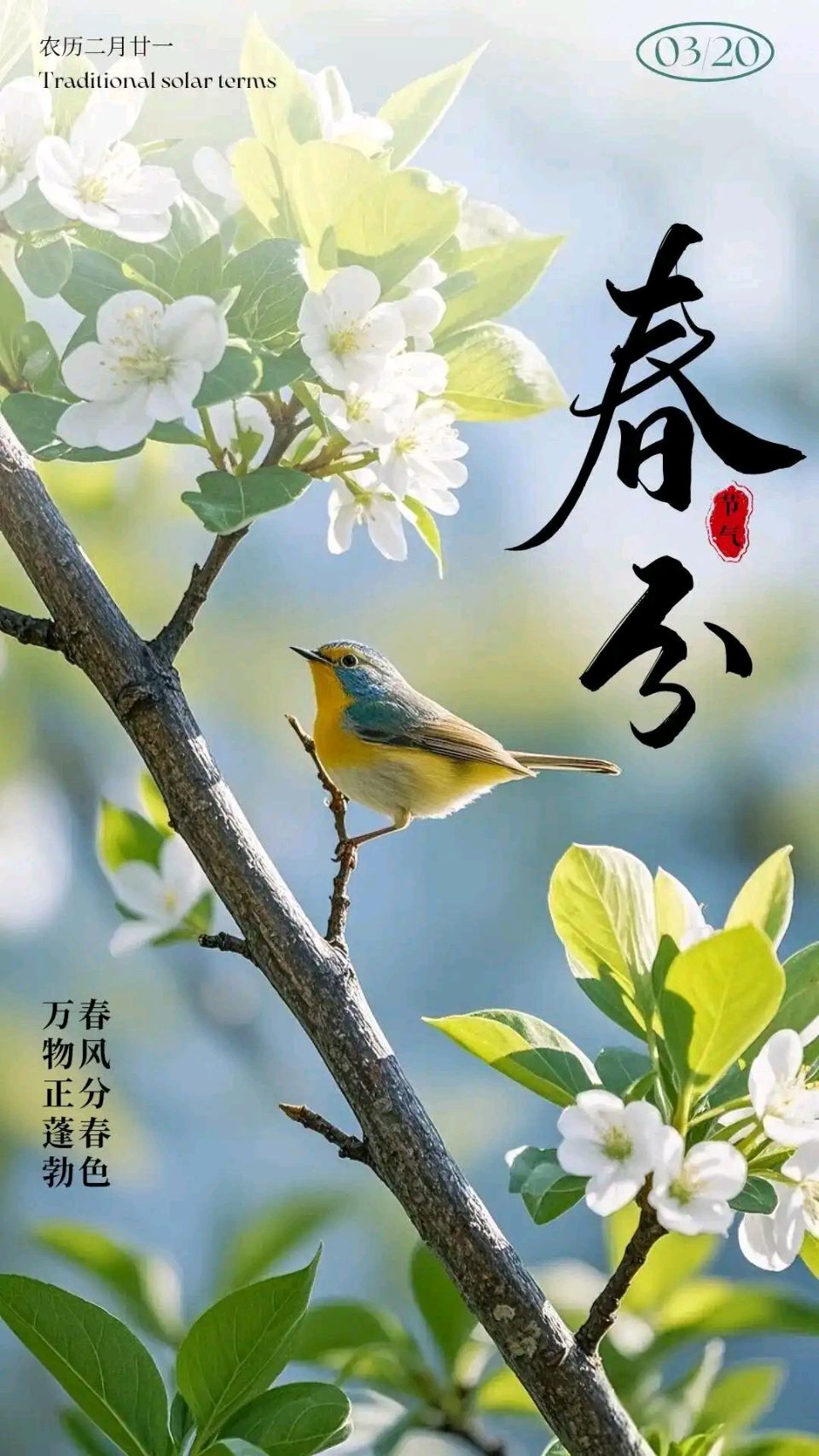 【神都诗社】第150期《春分》（图14）