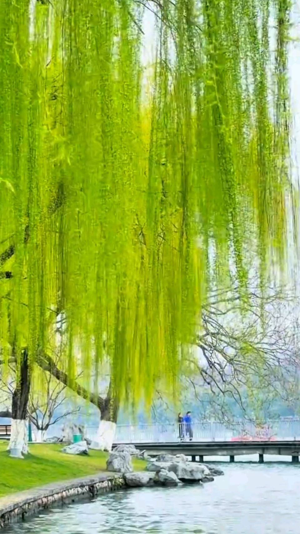 《七律 • 膝盖》作者/吴云钦（图3）