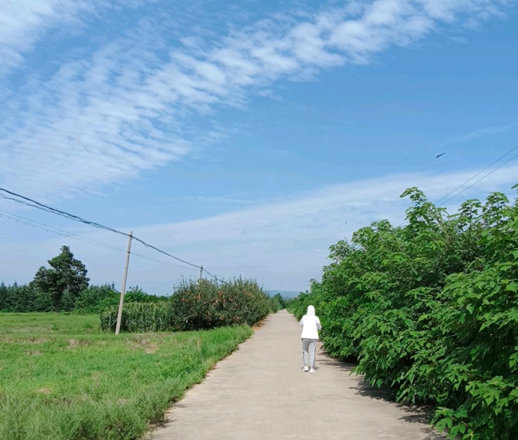 【散文】《清明偶遇: 岁月刻痕 师恩难忘》作者: 强军/陕西宝鸡（图6）