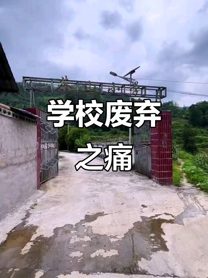 《七律 • 又见一所荒弃小学》作者/吴云钦（图4）
