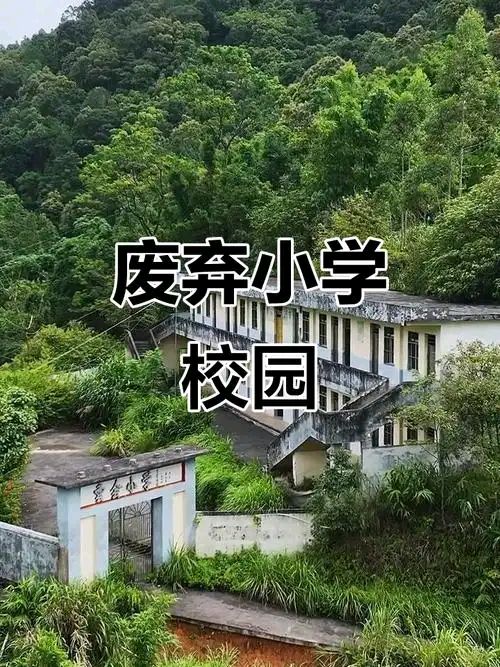 《七律 • 又见一所荒弃小学》作者/吴云钦（图3）