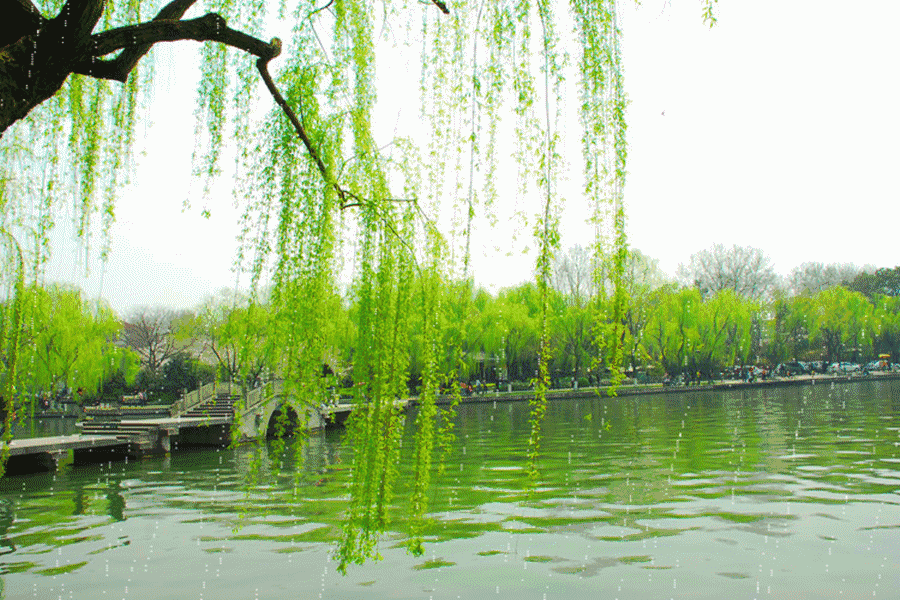 【神都诗社】龙门诗苑057期（嵌句：拂堤杨柳醉春烟）（图4）