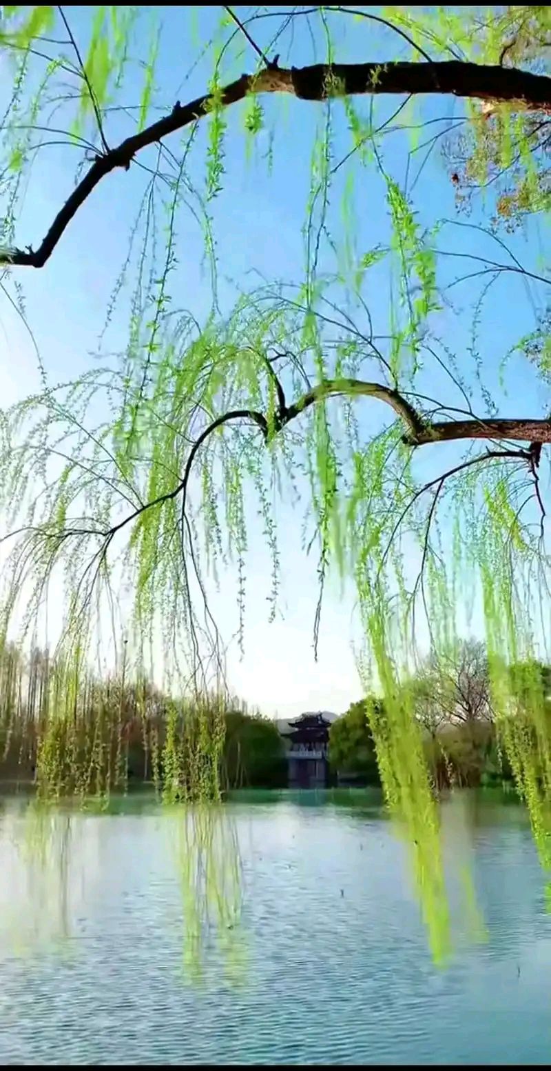 【神都诗社】龙门诗苑057期（嵌句：拂堤杨柳醉春烟）（图19）