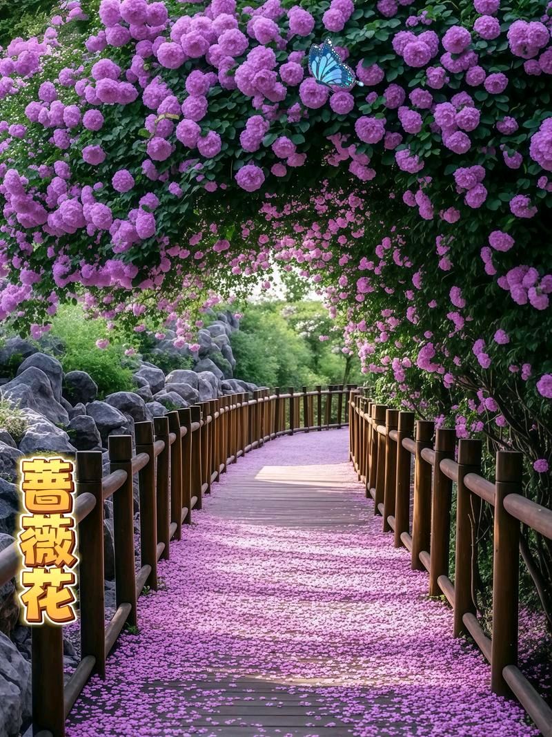 【神都诗社】第154期《暮春》（图13）