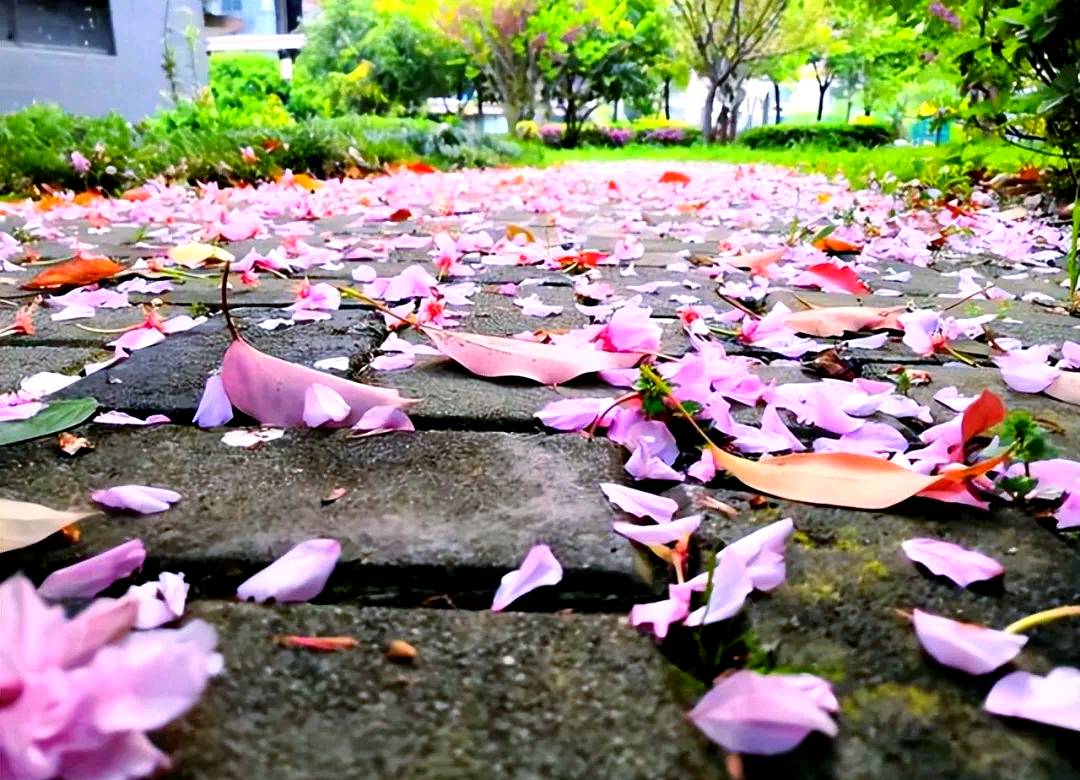 【神都诗社】第154期《暮春》（图25）