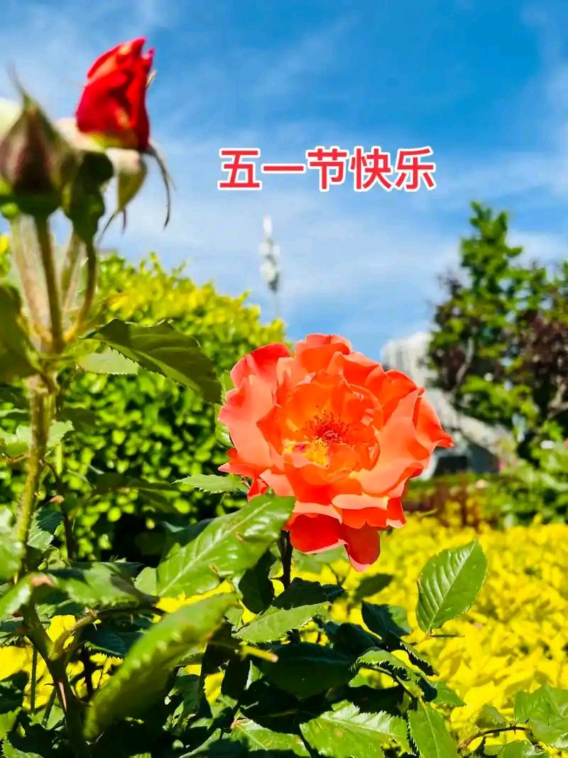 【神都诗社】龙门诗苑第058期《庆五一》（图6）