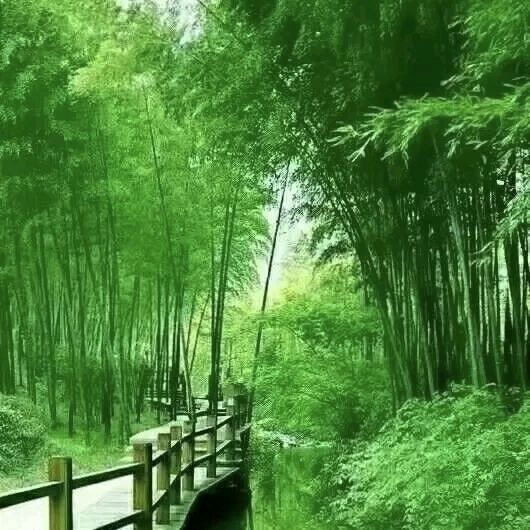 自由体《微凉》外一首/文/郑金波