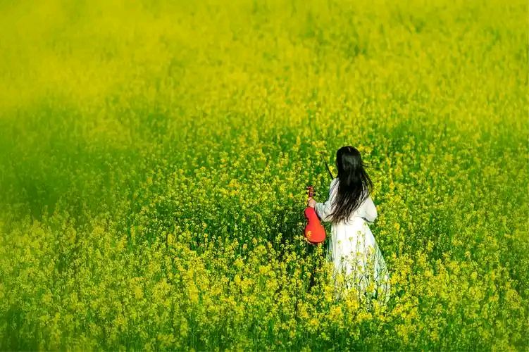 【枫雅汇看图约诗】第438期《浅夏》（图10）