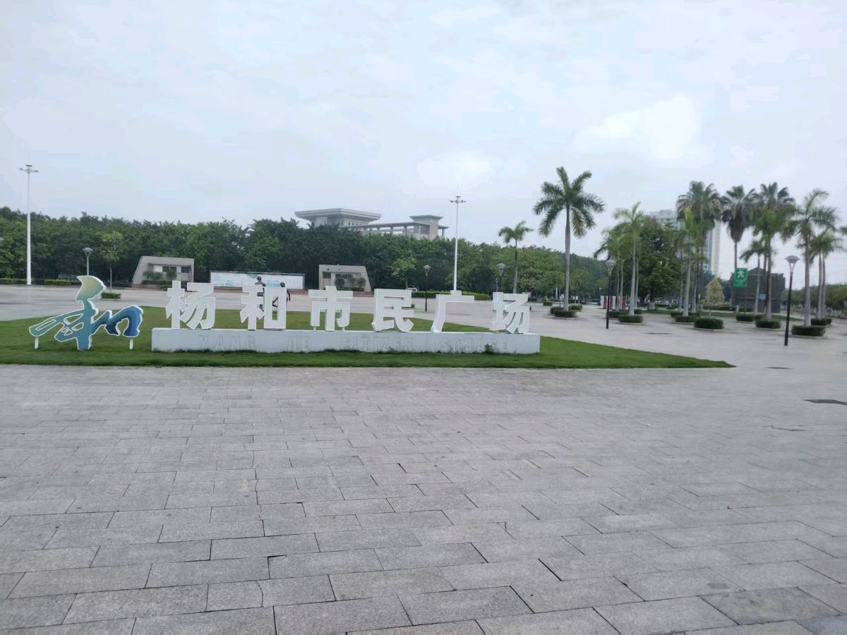 裴训《徜徉杨和广场》及评论