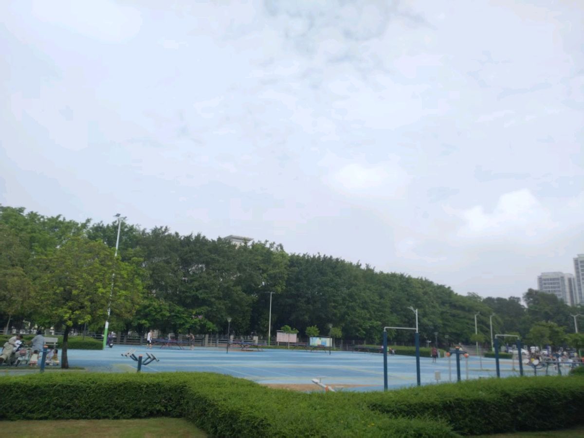 裴训《徜徉杨和广场》及评论（图3）
