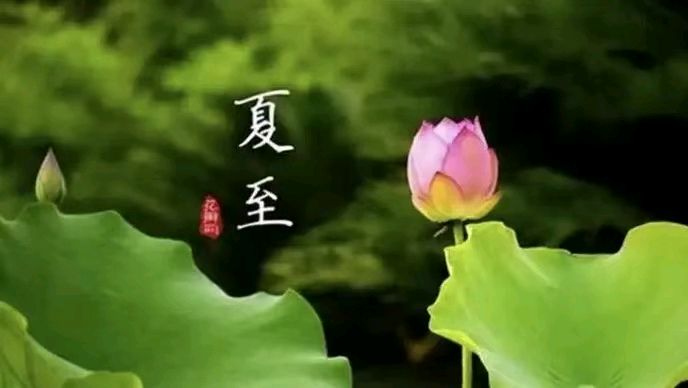 《七律 • 夏至逢父亲节》文/刘亚东（内蒙古锡林郭勒盟）