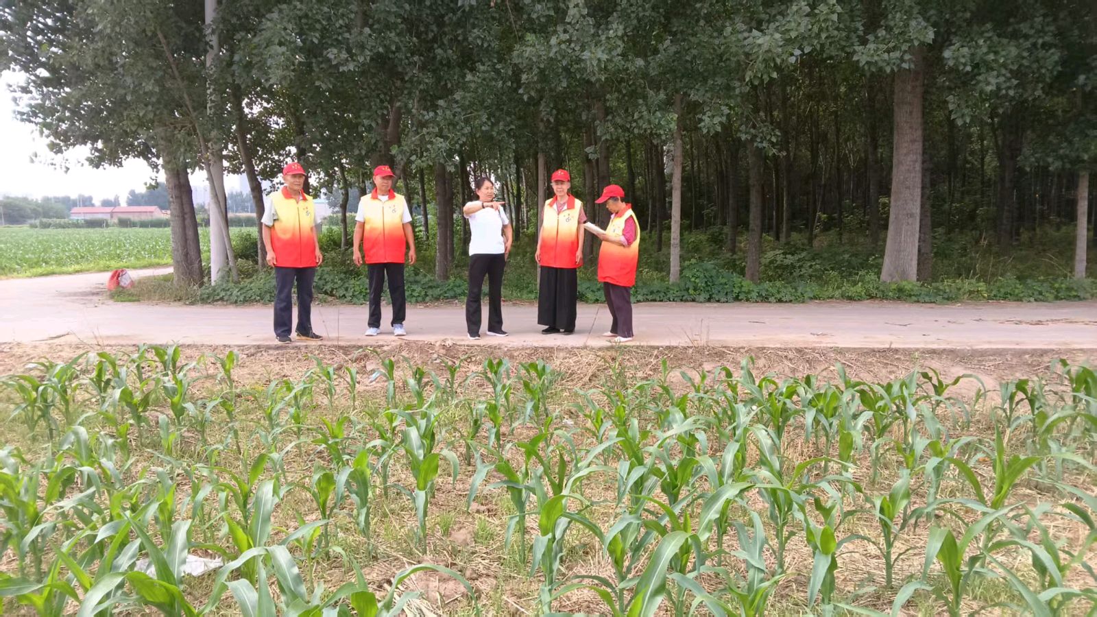 走进农田听民声 共寻外销新路径(图5)