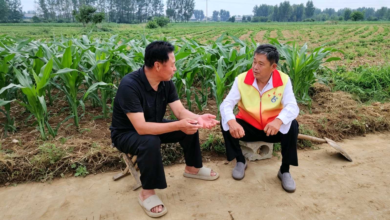 田间走访察实情 志愿赋能产业兴(图3)