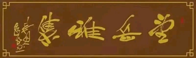 望岳×336分院【转发总院】对联练笔（图2）