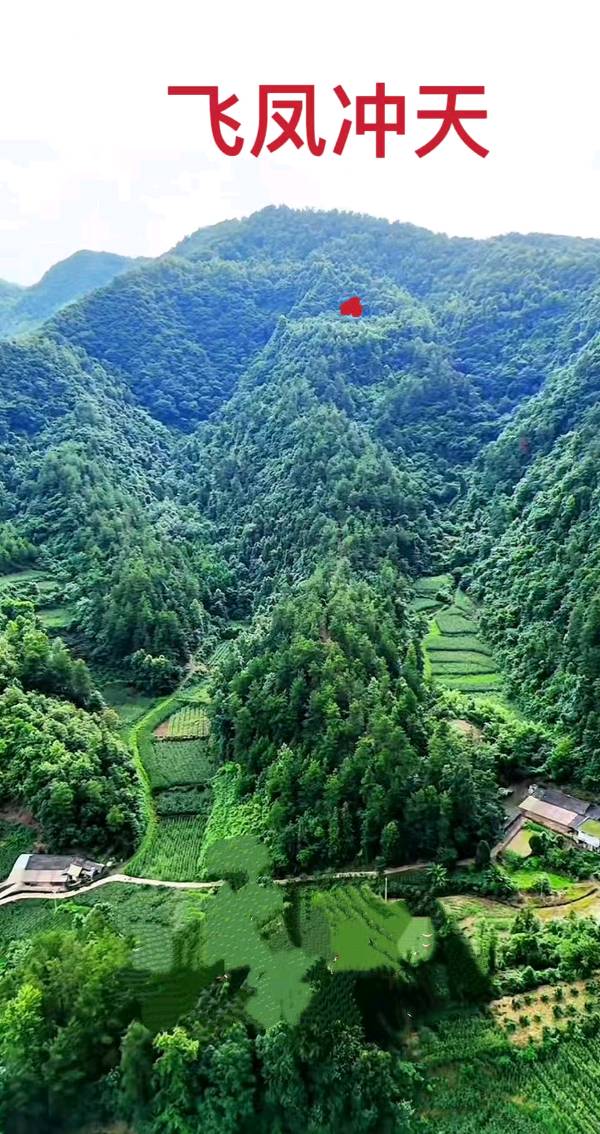 周奎成著《凝龙桢》又名/形峦风水秘诀(图3)