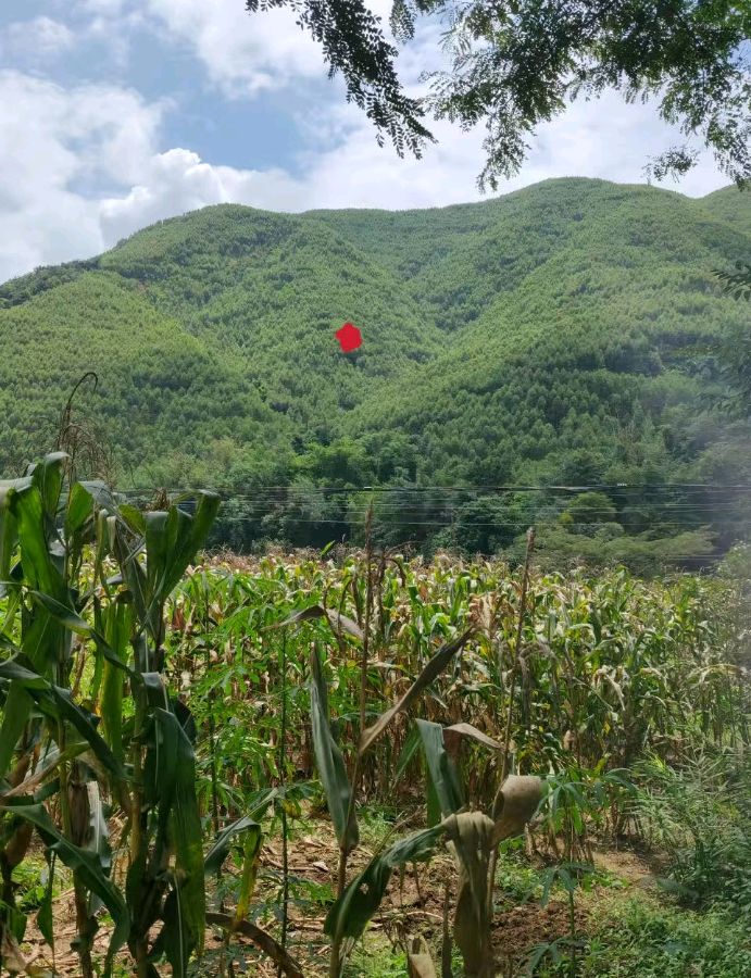 周奎成著《凝龙桢》又名/形峦风水秘诀(图12)
