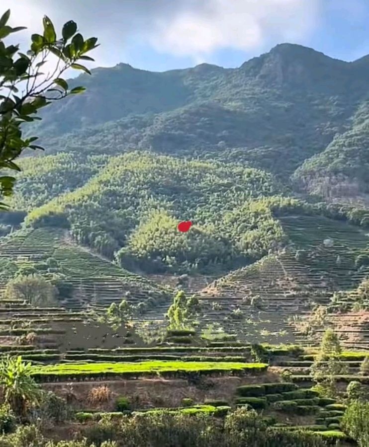 《凝龙桢赋》周奎成(图4)