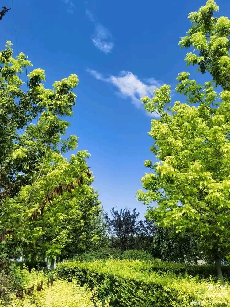 【神都诗社】第164期《初秋 嵌句“一枕新凉一扇风》（图16）