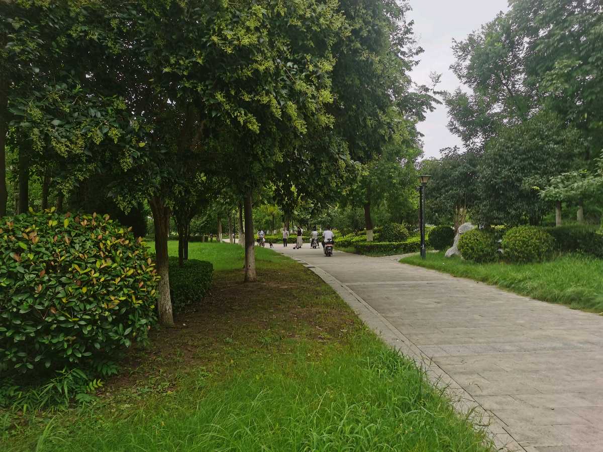【北京头条】银潢此夜鹊桥横,万古相思一夕明。莫叹仙凡隔云汉,且看星月证山盟。金风玉露催诗兴,巧果香囊寄物情。莫道佳期如梦幻,人间真意即长生。(图18)