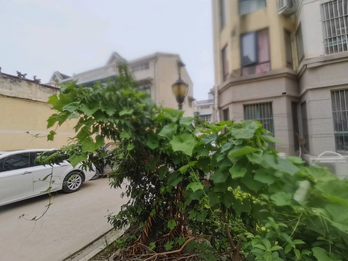 【北京头条】银潢此夜鹊桥横,万古相思一夕明。莫叹仙凡隔云汉,且看星月证山盟。金风玉露催诗兴,巧果香囊寄物情。莫道佳期如梦幻,人间真意即长生。(图3)