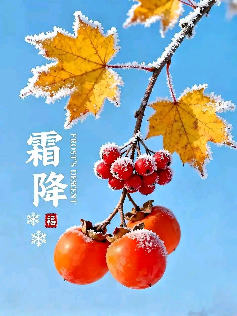 【神都诗社】第170期《霜降》(图21)