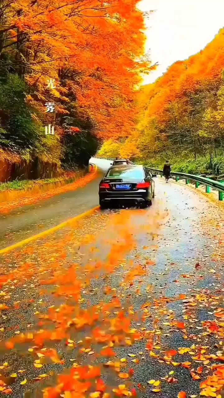 李彦俊诗作《秋印》 鸿雁诗轩传媒（图3）