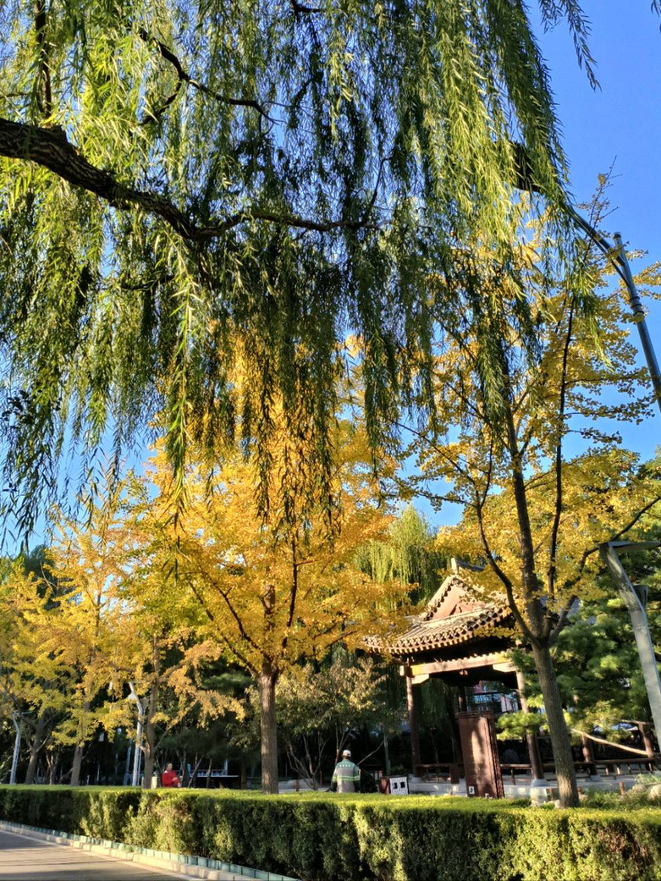李彦俊诗作《秋印》 鸿雁诗轩传媒（图4）