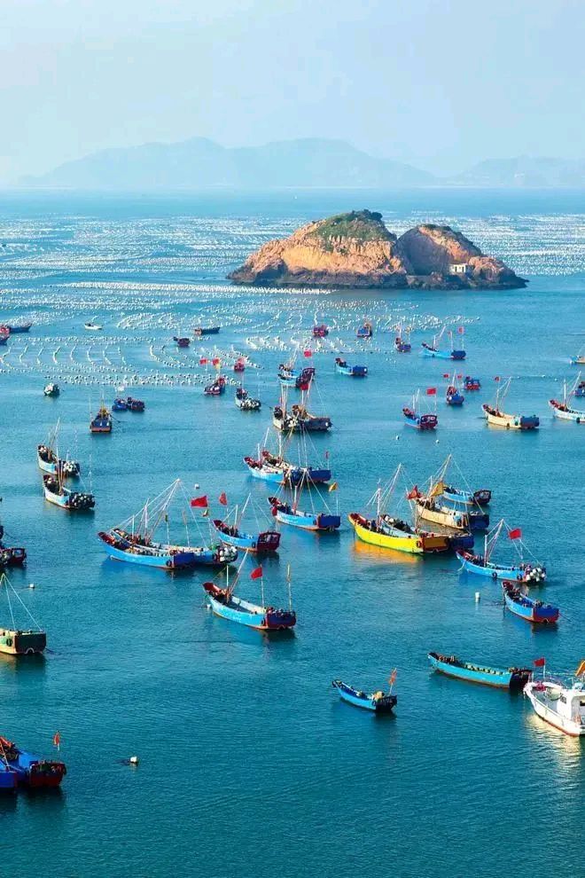 黄海春光～诗||王国标（图9）
