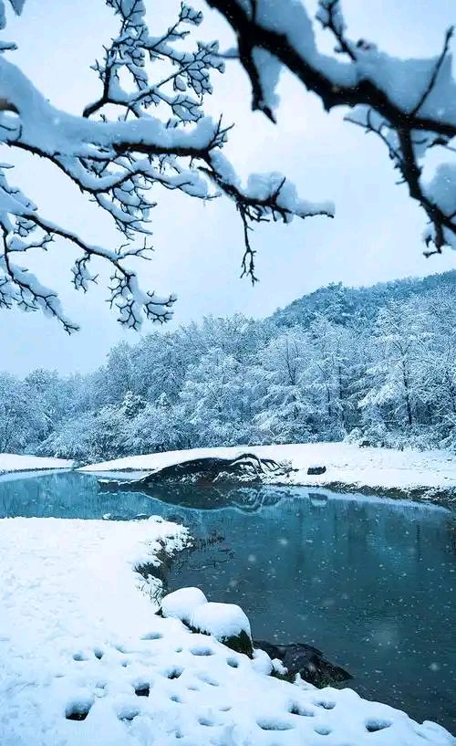 临年飞雪～诗||白印良（图8）