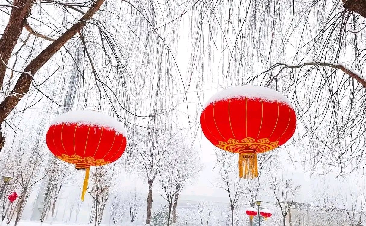 临年飞雪～诗||白印良（图13）