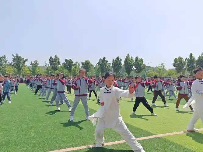 清平乐-太极神韵～词||刘哲侬（图14）