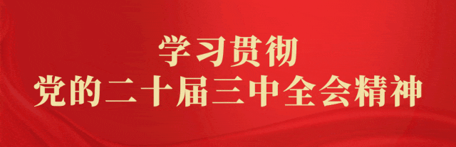 【荣耀中国】蝶恋花· 春节快乐（冯延巳体）强喜娥（内蒙古）（图14）