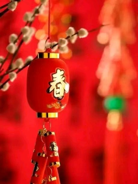 【国学雅韵社】鹧鸪天· 元宵夜强喜娥（内蒙古）（图4）