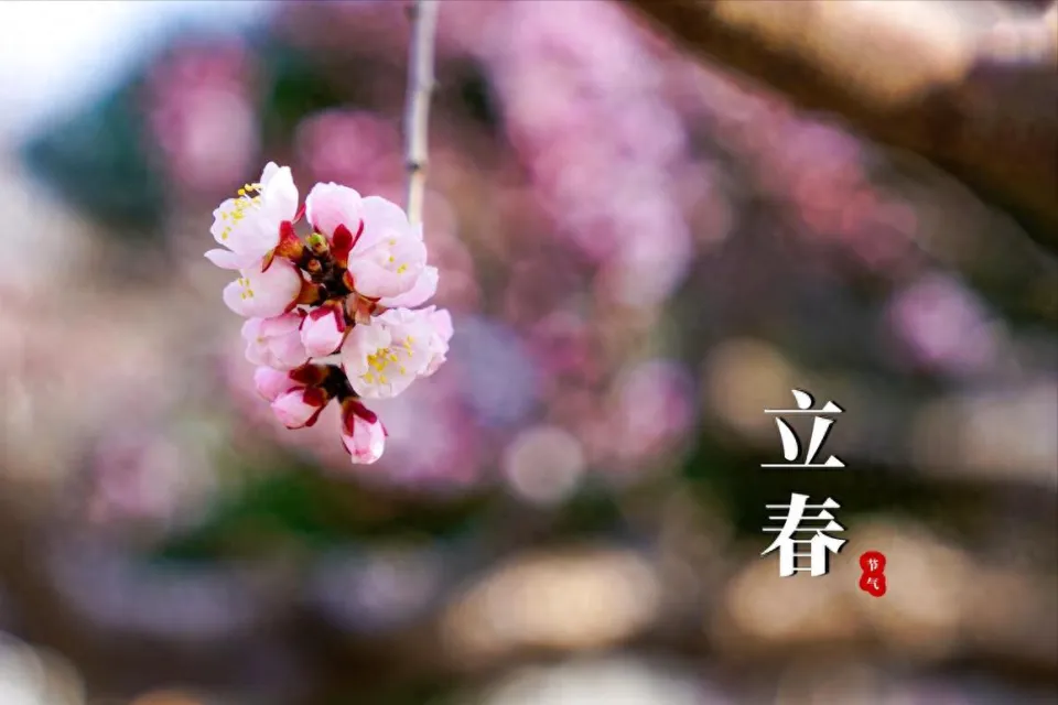 七律-乙巳立春～诗||杨景儒（图9）