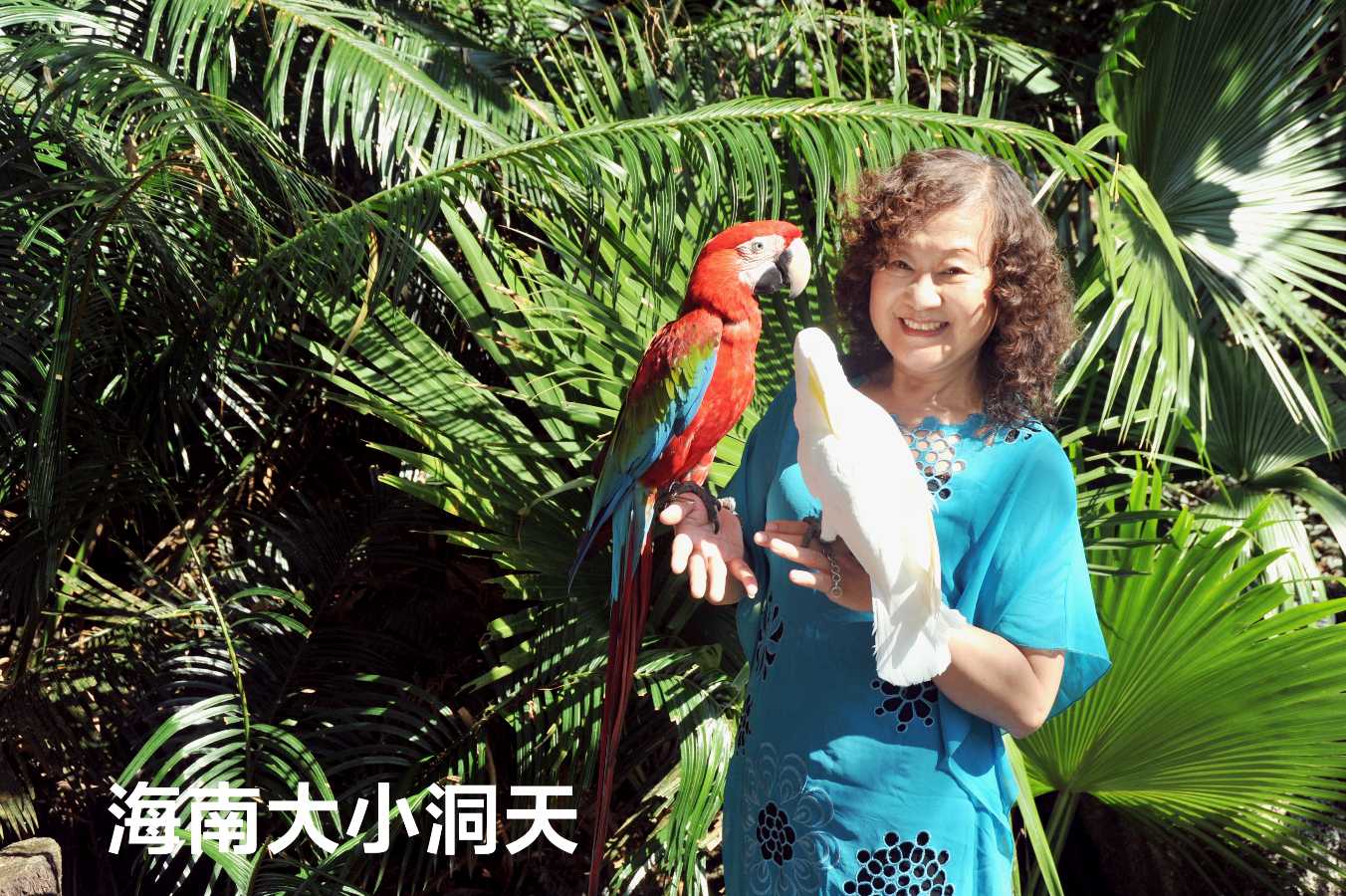 海南游～诗||李耀文（图15）