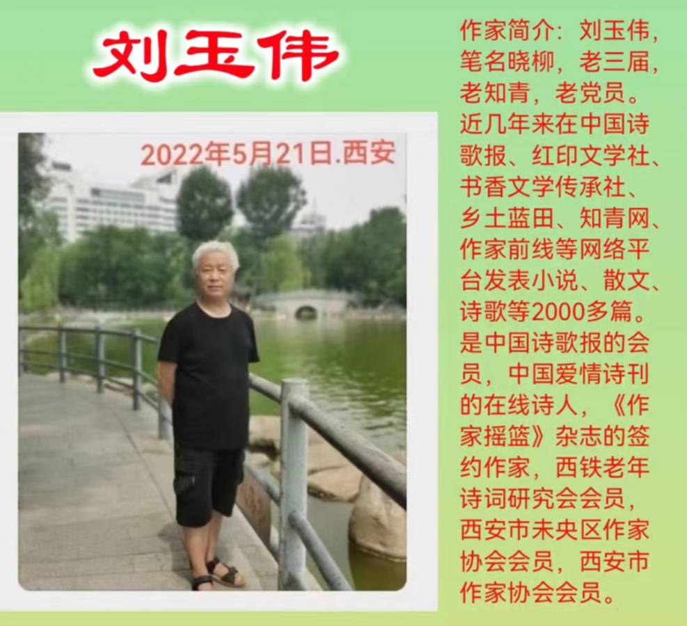 随笔／发春节慰问卡有感（上）作者‖刘玉伟（图8）
