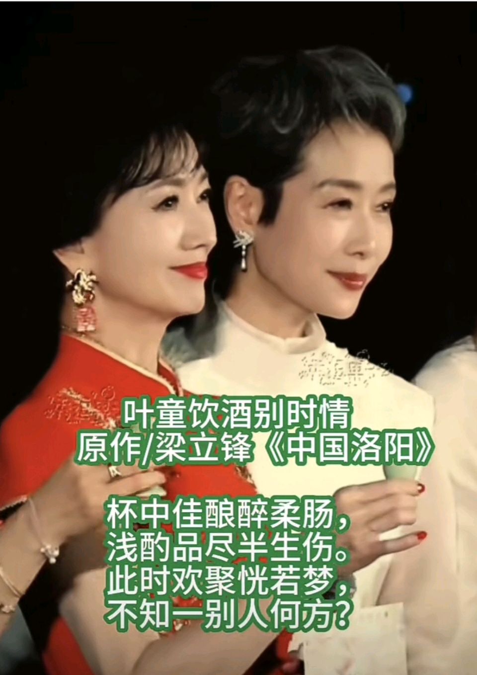 叶童饮酒别时情 原作/梁立锋（图28）