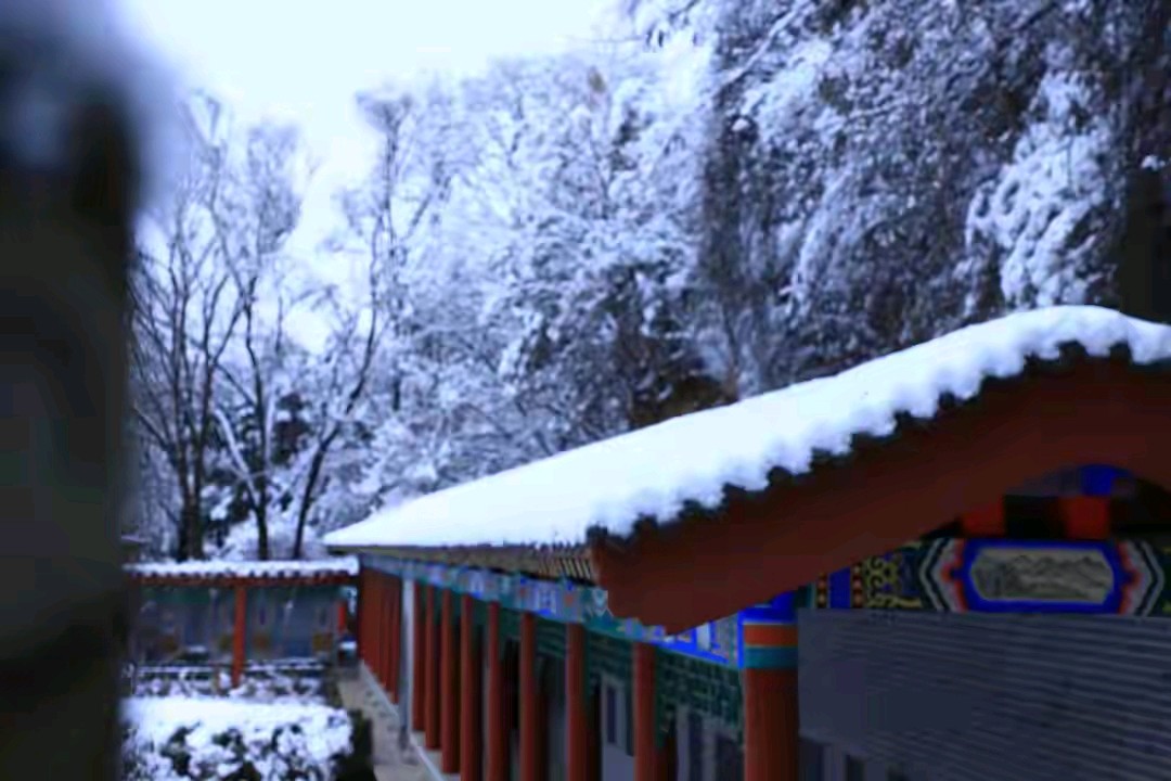 【豆蔻诗社】《赞梅花》丰茂春作于蛇年（图6）