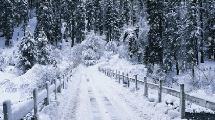 诗意传情诗社【雪落的速度】文‖康妮（多伦多） 合诵‖友友·淡淡的茶香（1687）（图6）
