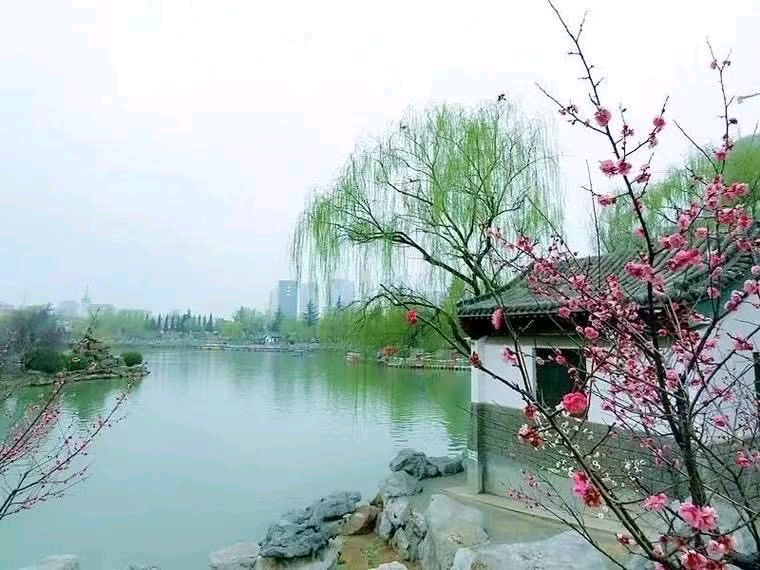 【上海头条】古韵飘香202期‖每旬题图（图6）