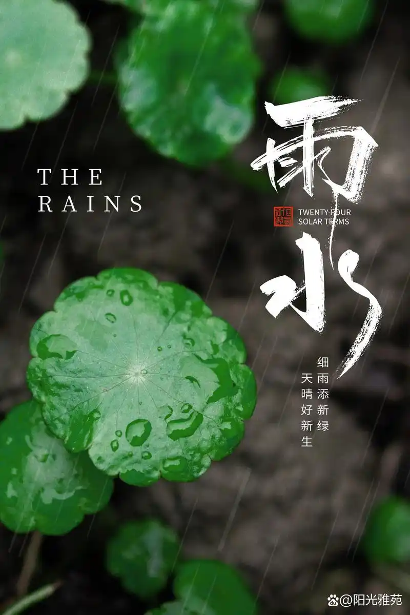 东方书剑的《七绝二章・雨水漫吟》