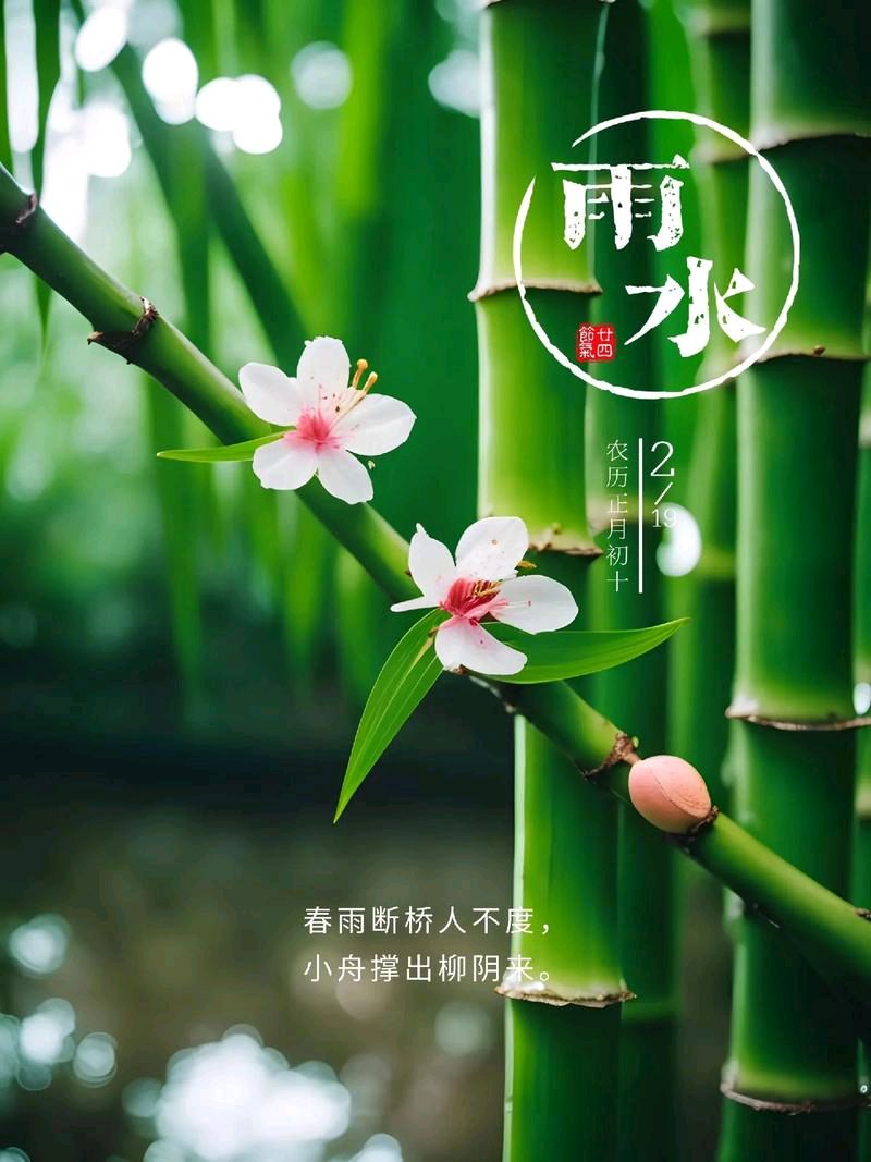 陕西张志民《今日雨水》（图5）