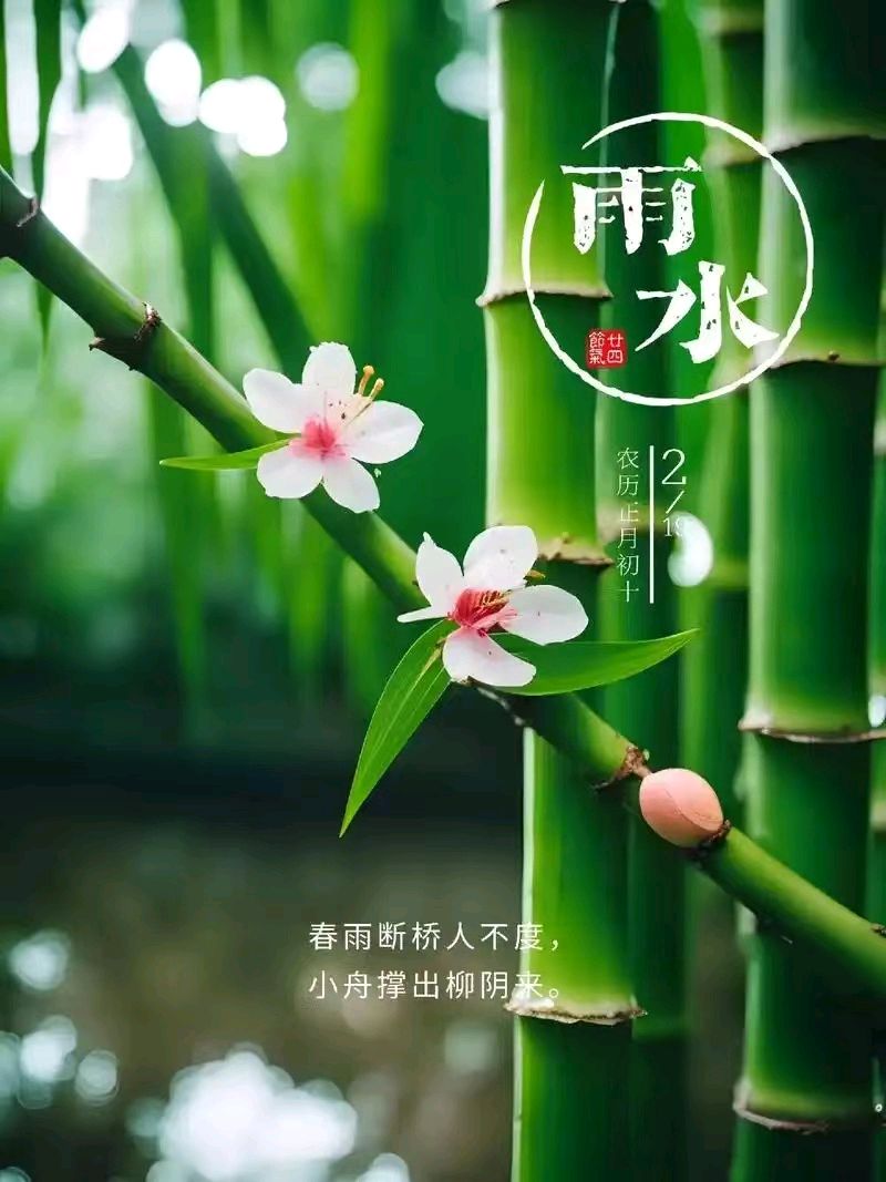 【豆蔻诗社】雨水莭令吟唱文/杨圣文（图2）